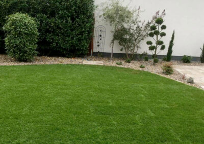 frisch gemähte Rasenfläche mit Hecke und Sträuchern in Steinbeet