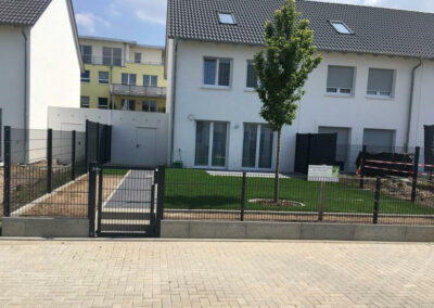 gepflegter Vorgarten mit Rasen, Baum und Steinweg
