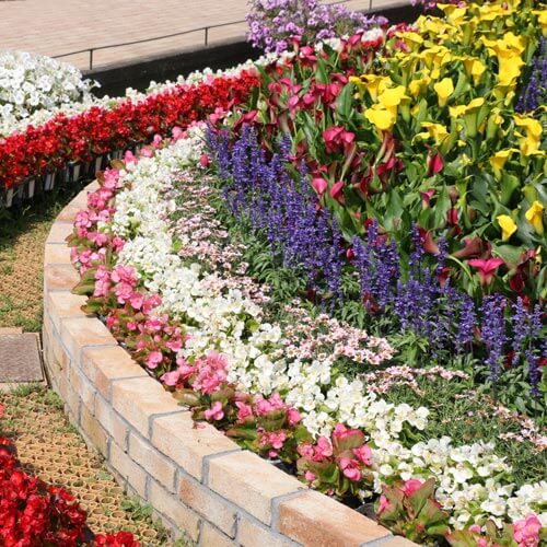 blumenbeet Blumenbeete in verschiedenen Farben in Terrassenform